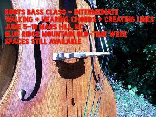 12809677_10208067334975436_3083117872987808282_n